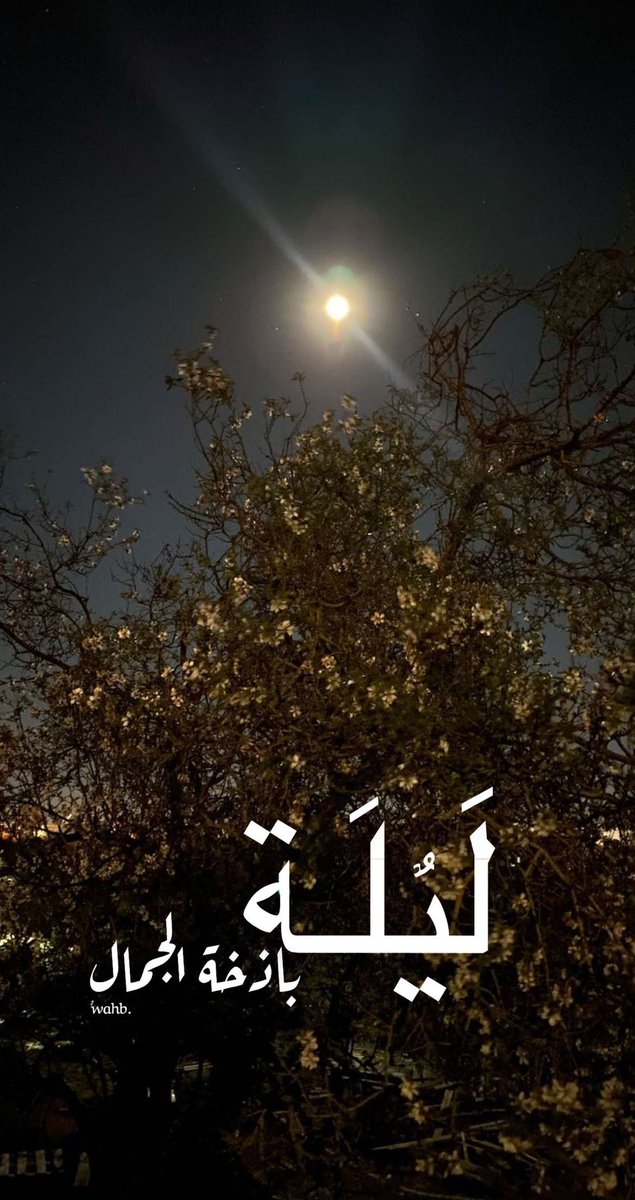 ليلة باذخة الجمال
#ليلة
#الجمال
#قمر_الليله 
#كلام_جميل_بتغريدة 
#كلام_جميل_بتغريده