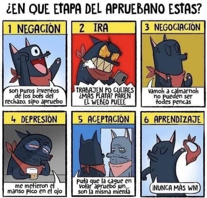 ChileanProfile's tweet image. ¿Eres Apruebonao? ¿En que etapa estás en este Nuevo Proceso?
#RECHAZOCRECE