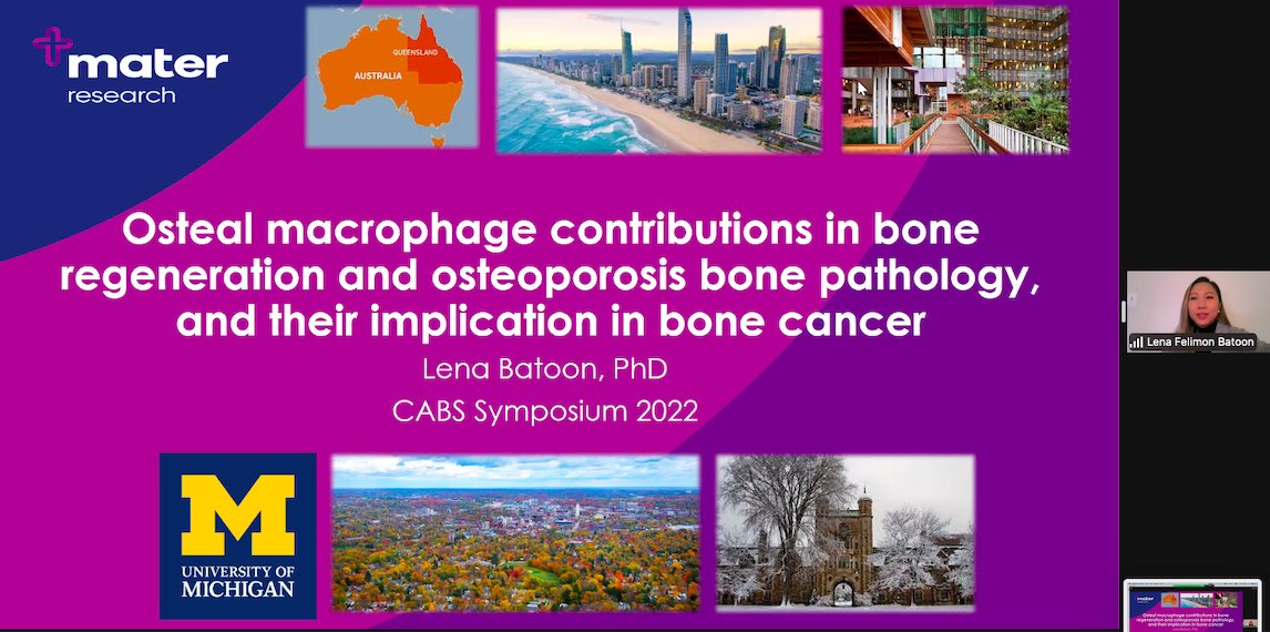 Fantastic talk by @lenabatoon as part of the @CancerandBone YI symposium! 👏👏 @ANZBMSoc @ANZBMS_ECIC 🦴