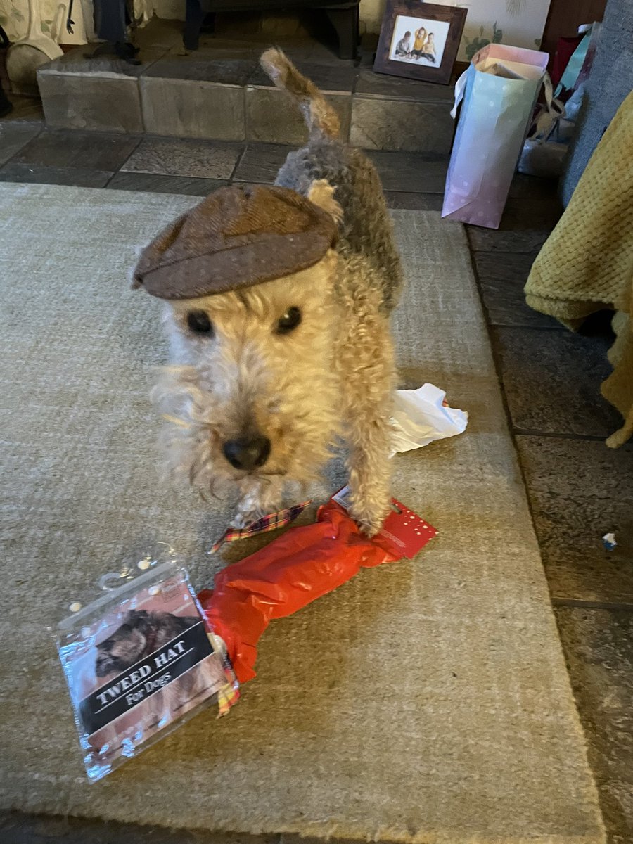 catherine winstanley tweet media