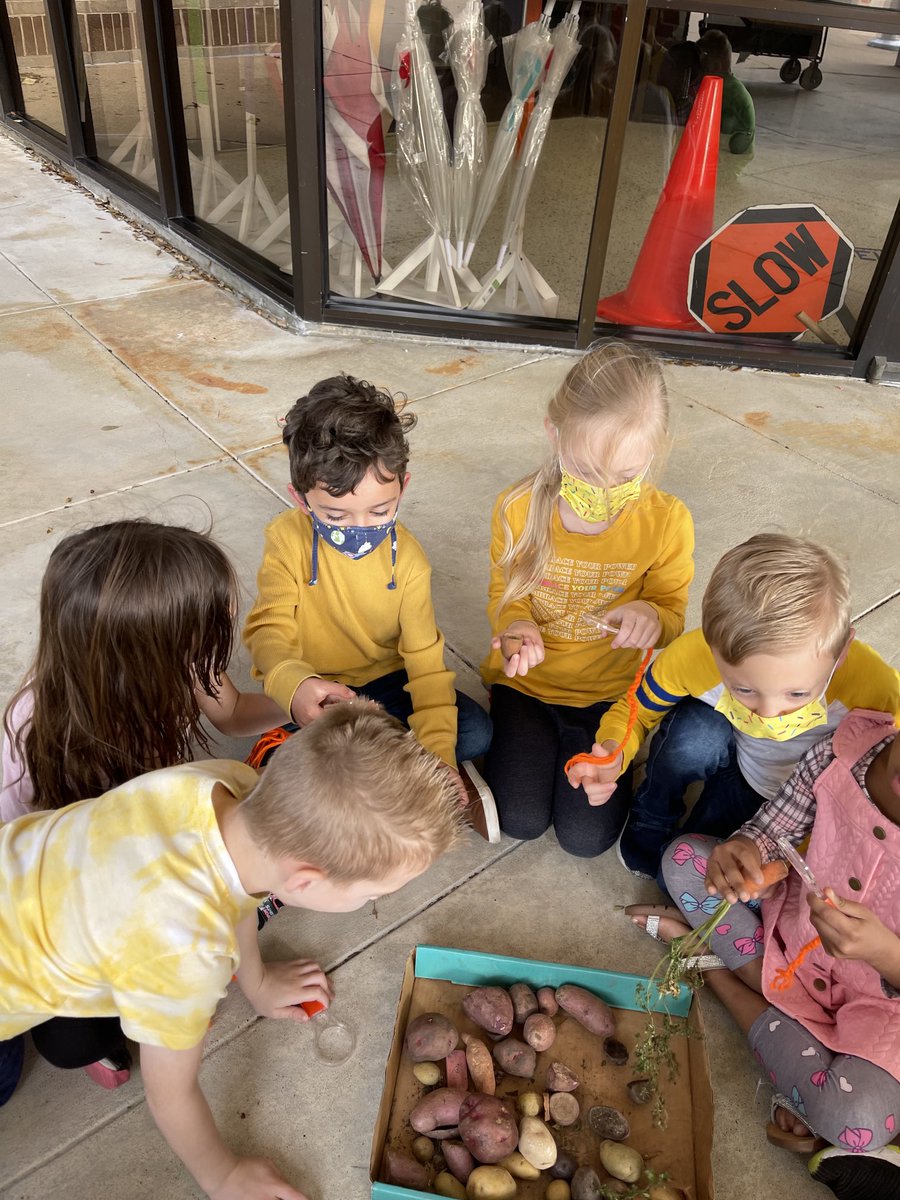 MrsMandySchaef's tweet photo. We loved exploring and learning about potatoes at Garden Day today! Thanks ⁦@readygrowgarden⁩! ⁦@Hamilton_Lions⁩ #hamiltonpride https://t.co/sgR825olRU