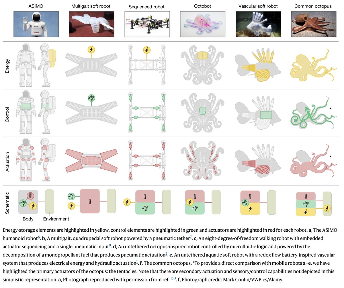 Roboctopus sighting in <a href="/Nature/">nature</a> courtesy of <a href="/DoctorJosh/">Josh Bongard</a>
&amp; team!

🐙👏🏻🐙👏🏻🐙👏🏻🐙👏🏻🐙👏🏻🐙👏🏻🐙👏🏻🐙👏🏻

nature.com/articles/s4158…