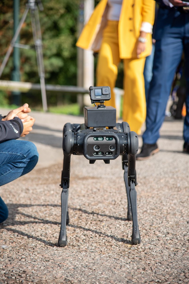 NottsCC's tweet image. 🐶 Meet Gizmo🤖 

Pop along to @MansfieldMuseum tomorrow &amp;amp; find out more about how Gizmo - a dog-shaped robot - plans to protect forests 

Read about our environmental-focused research project ▶️ orlo.uk/connected_Fore…

@MyBCU #CuriousNotts #5GConnectedForest
