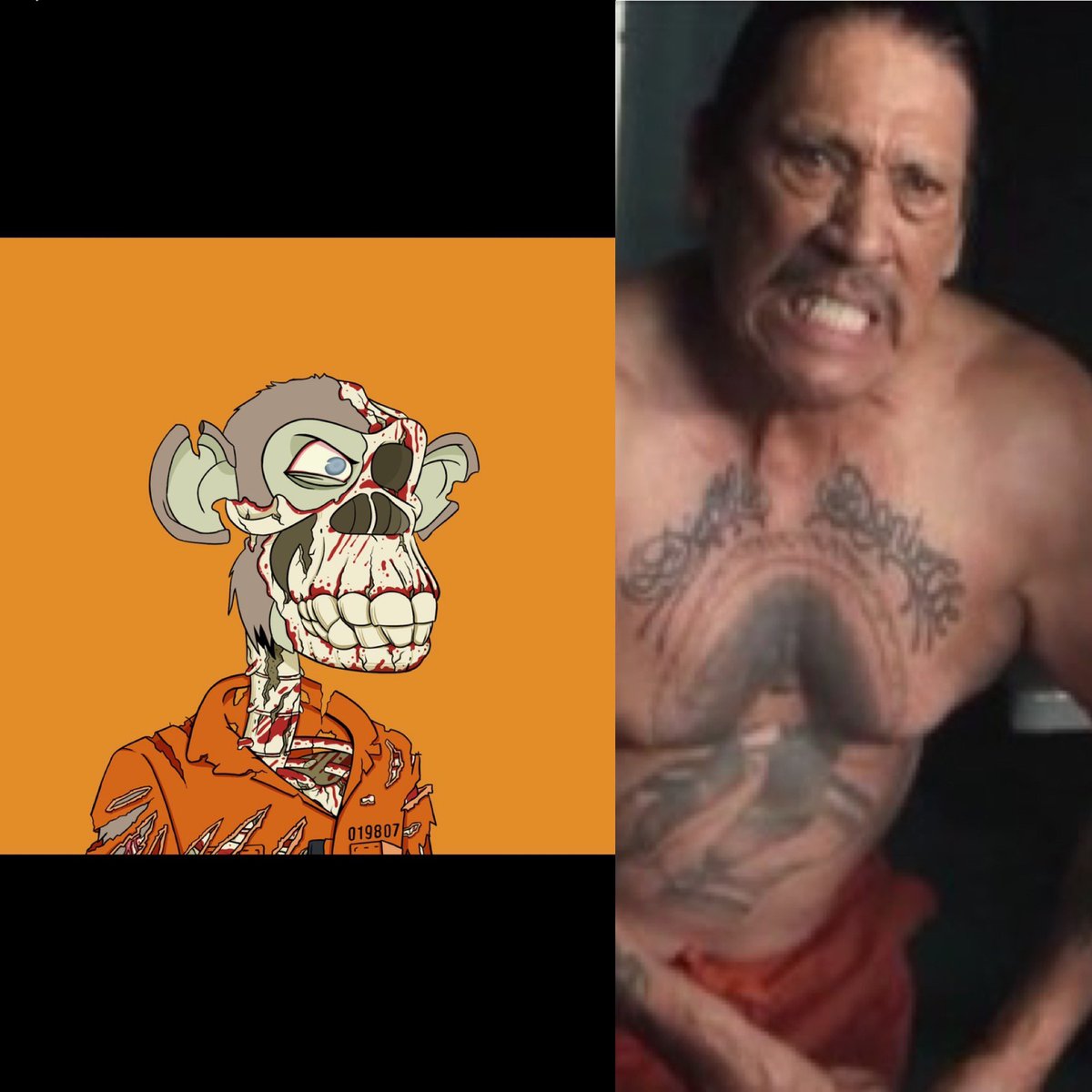 Renzo_Live tweet media