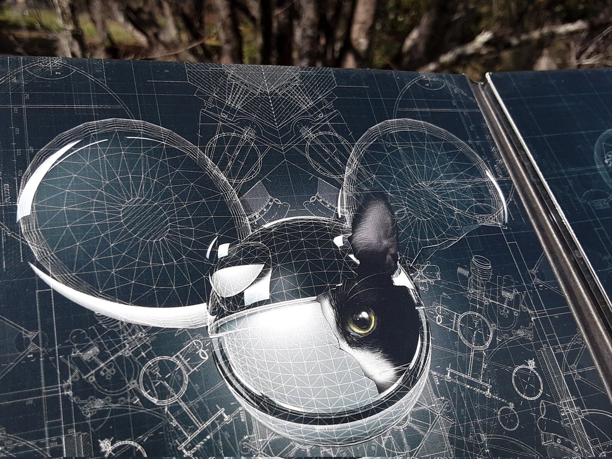 I_BLaCKBeaRD_I's tweet photo. Found this album from 2012, did @deadmau5 reveal himself here as a cat hiding in a mouse mask?  Conspiracy theorists...GO!
#Ryoshisvision #RyoshiVisionGaming @Ryoshis_Music @vision_ryoshi

 https://t.co/WWjjFf3ePl https://t.co/1DmfBWTBhn