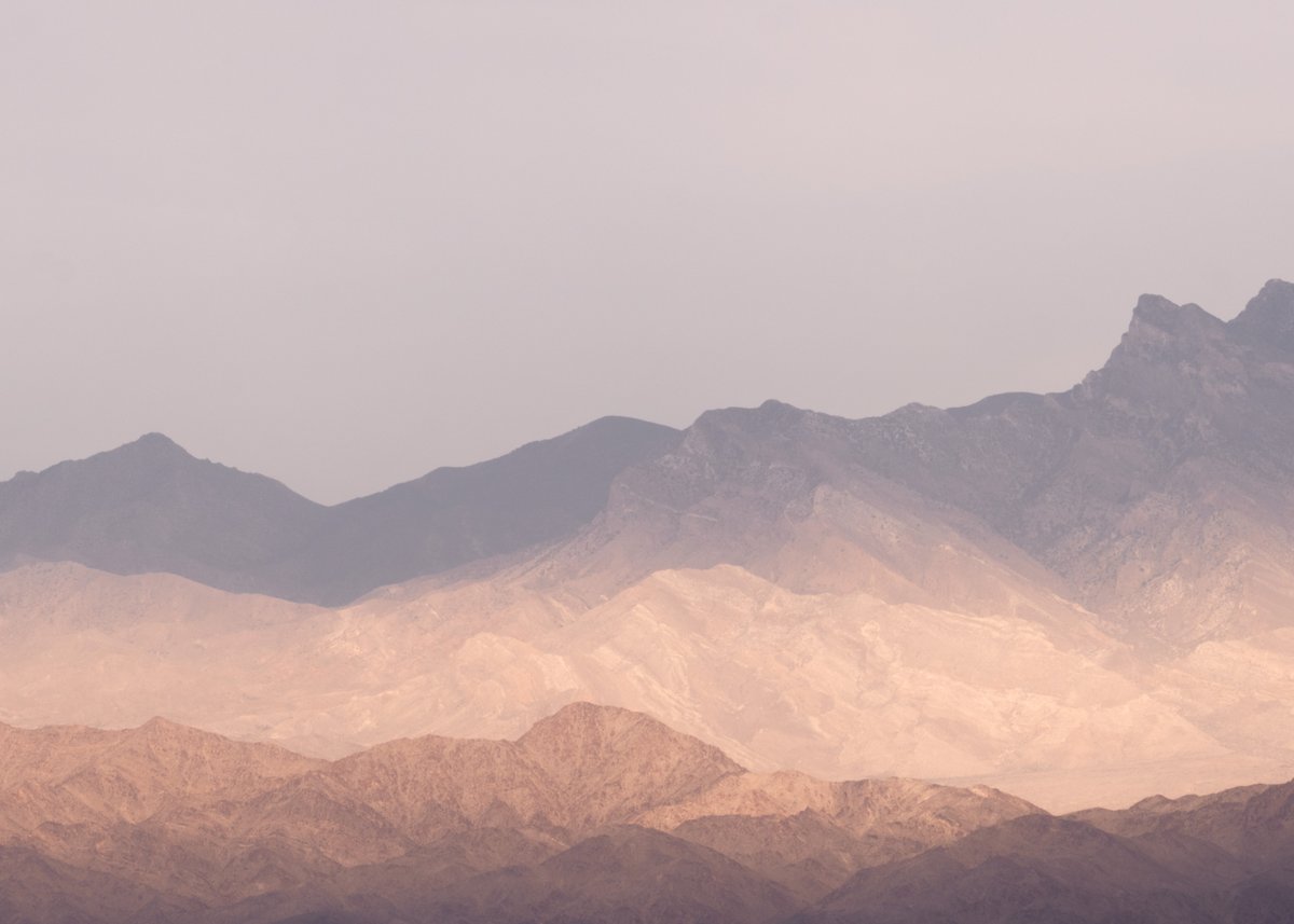 Joelle LB tweet media