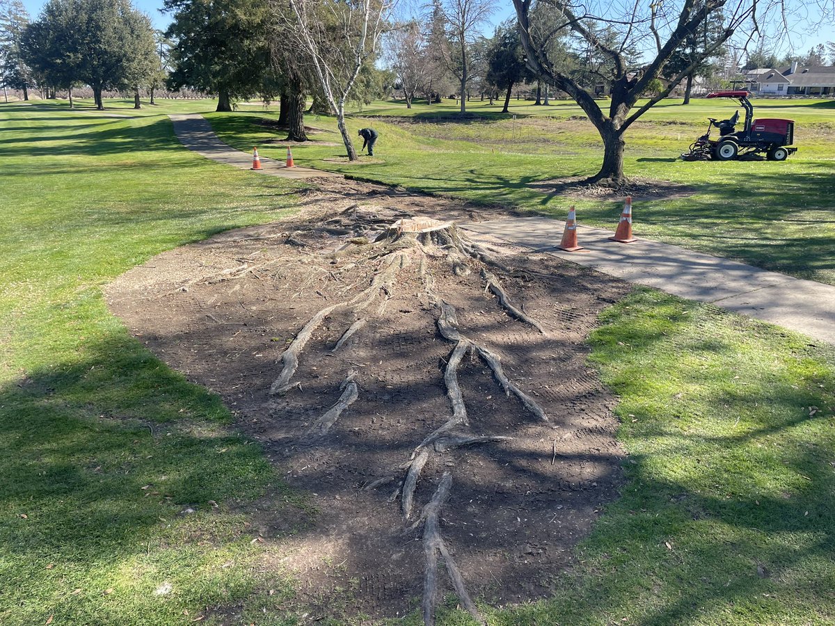 KurtisWolford's tweet photo. Had a #### say it was tragic how many trees have been removed &amp; asked why this perfectly good tree was being removed?🤦‍♂️ https://t.co/Tq3uB0xvUT