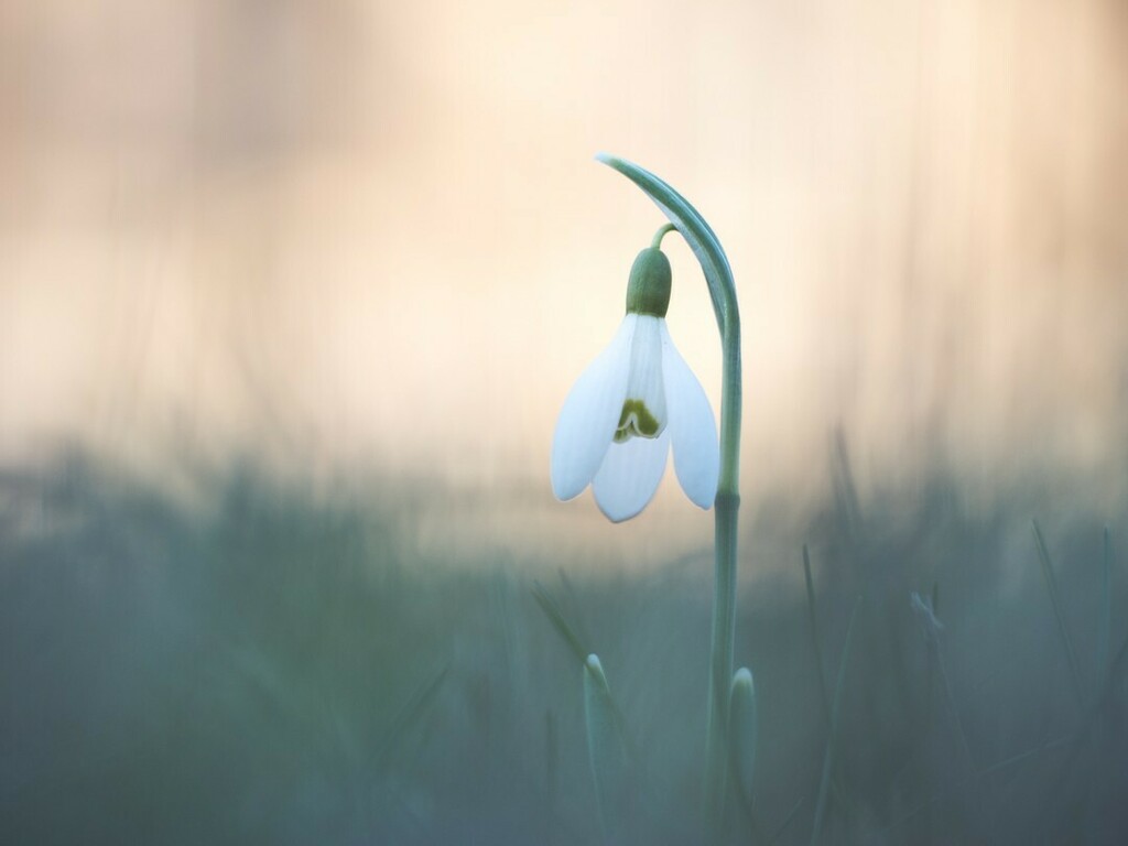 CastleStMethodist tweet media