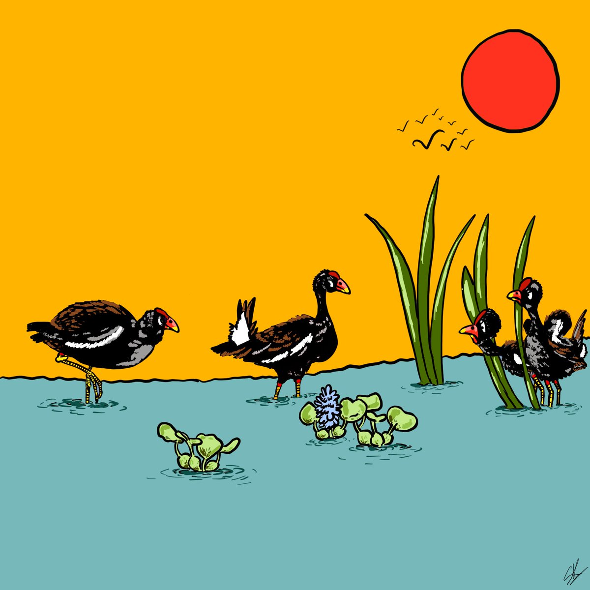 Fat is fit- Art by <a href="/SudiptaKalita13/">Sudipta Kalita</a>
Here, you can see a "skinny fat" male moorhen being attracted to a tail flicking female while the slender guys are getting envious. A behaviour that has intrigued me since the last three years.