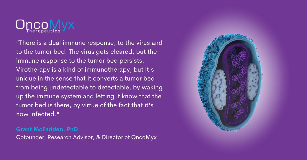 OncoMyx (@oncomyx) on Twitter photo .<a href="/Tech_Networks/">Technology Networks</a> spoke with our cofounder <a href="/grantmcf_grant/">Grant McFadden</a> about harnessing the #oncolytic potential of the #myxomavirus to induce an anti-#tumor response to combat #cancer.
Read the article here: technologynetworks.com/cancer-researc…
#myxoma #immunotherapy #cancers #tumors .<a href="/Tech_Networks/">Technology Networks</a> spoke with our cofounder <a href="/grantmcf_grant/">Grant McFadden</a> about harnessing the #oncolytic potential of the #myxomavirus to induce an anti-#tumor response to combat #cancer.
Read the article here: technologynetworks.com/cancer-researc…
#myxoma #immunotherapy #cancers #tumors