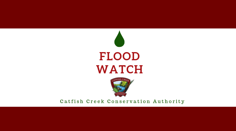 The Water Safety, Watershed Conditions Statement issued on February 16, 2022 at 11:30 a.m. has been upgraded to a Flood Watch.
Read the Full Statement Here: bit.ly/33ti5kU