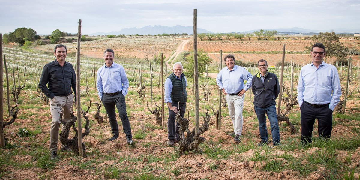 Corpinnat (@corpinnatsw) on Twitter photo La marca #Corpinnat nació el 30 de enero de 2019 impulsada por las bodegas fundadoras: <a href="/Gramona1881/">Gramona</a>, <a href="/Llopart1887/">Llopart</a>, <a href="/nadalwines/">Nadal</a>, <a href="/Recaredo1924/">Recaredo</a>, <a href="/castellroig/">Castellroig Sabaté i Coca</a> y <a href="/TorelloViticult/">Torelló</a>, a las que se han sumado <a href="/canfeixes/">Huguet de Can Feixes</a>, <a href="/CJuliaBernet/">Caves Júlia Bernet</a>, <a href="/cellermascandi/">Celler Mas Candí</a>, <a href="/Descregut_Vins/">Descregut vi&cava</a> y <a href="/CellerPardas/">CellerPardas</a>. La marca #Corpinnat nació el 30 de enero de 2019 impulsada por las bodegas fundadoras: <a href="/Gramona1881/">Gramona</a>, <a href="/Llopart1887/">Llopart</a>, <a href="/nadalwines/">Nadal</a>, <a href="/Recaredo1924/">Recaredo</a>, <a href="/castellroig/">Castellroig Sabaté i Coca</a> y <a href="/TorelloViticult/">Torelló</a>, a las que se han sumado <a href="/canfeixes/">Huguet de Can Feixes</a>, <a href="/CJuliaBernet/">Caves Júlia Bernet</a>, <a href="/cellermascandi/">Celler Mas Candí</a>, <a href="/Descregut_Vins/">Descregut vi&cava</a> y <a href="/CellerPardas/">CellerPardas</a>.