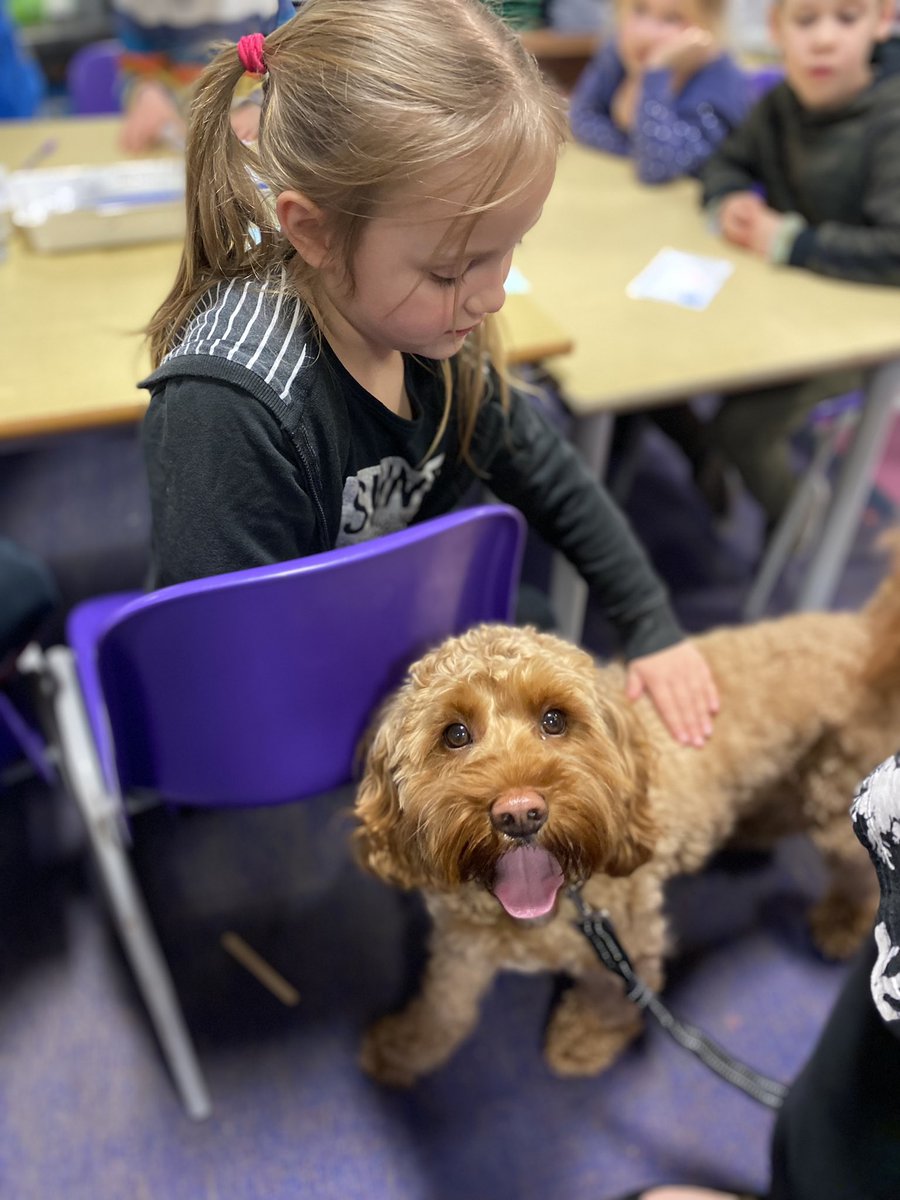 RomseyPrimary's tweet photo. Well-being Wednesday had to of course be finished with a visit from our school dog Kobe πΆ! @EnergiseMe_ #wecanweek https://t.co/auREVpoHbN
