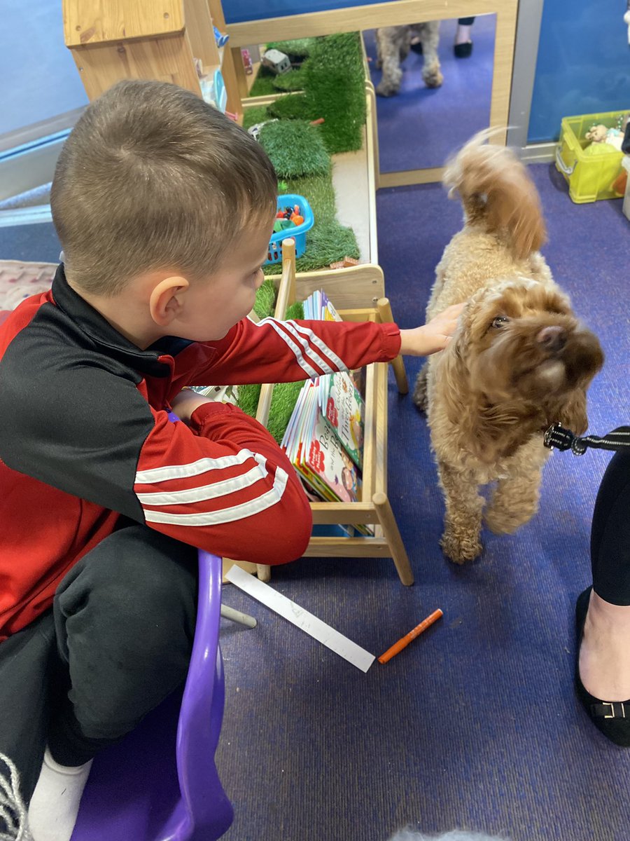 RomseyPrimary's tweet photo. Well-being Wednesday had to of course be finished with a visit from our school dog Kobe πΆ! @EnergiseMe_ #wecanweek https://t.co/auREVpoHbN
