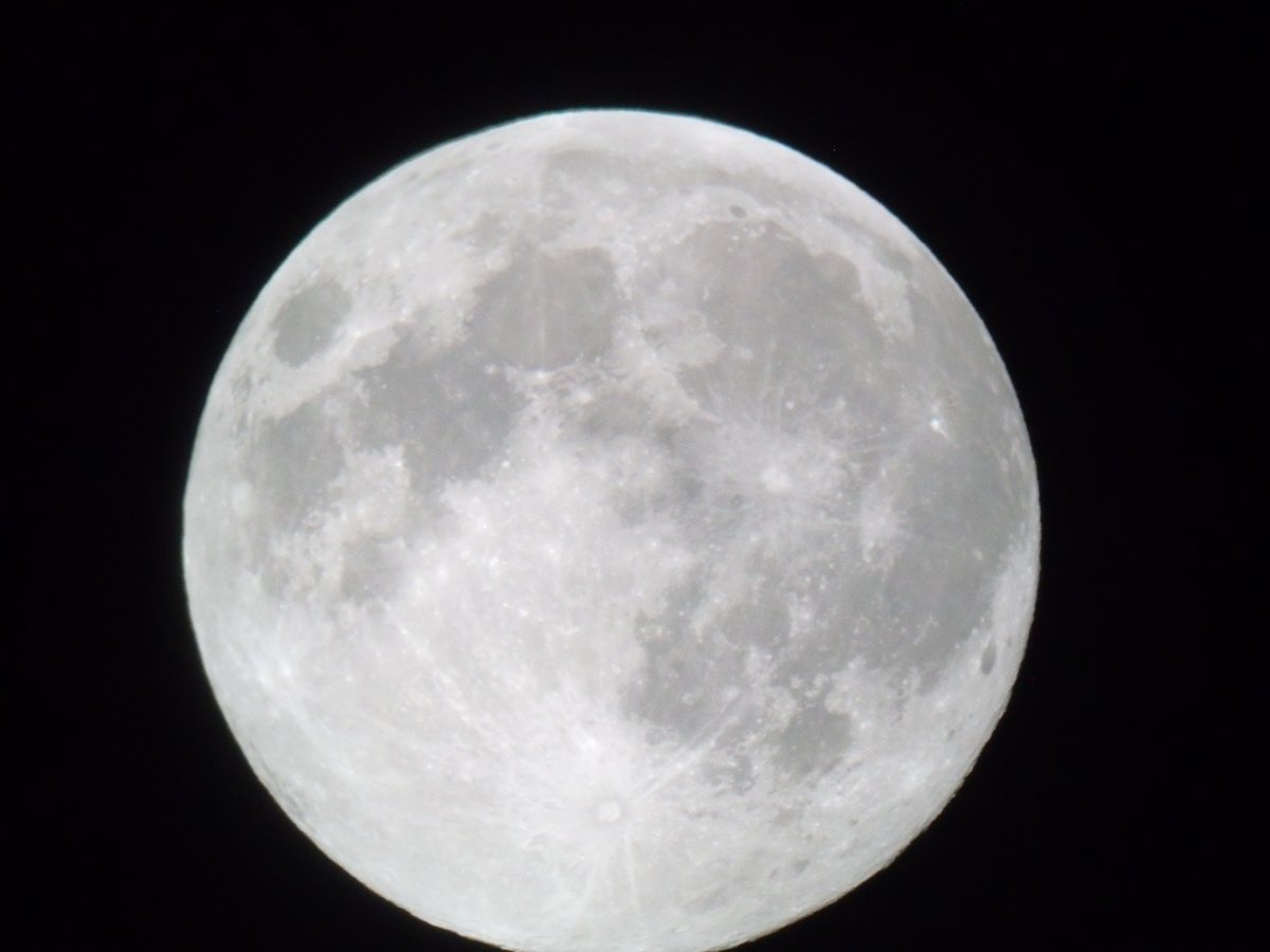 Denis Pilon tweet media