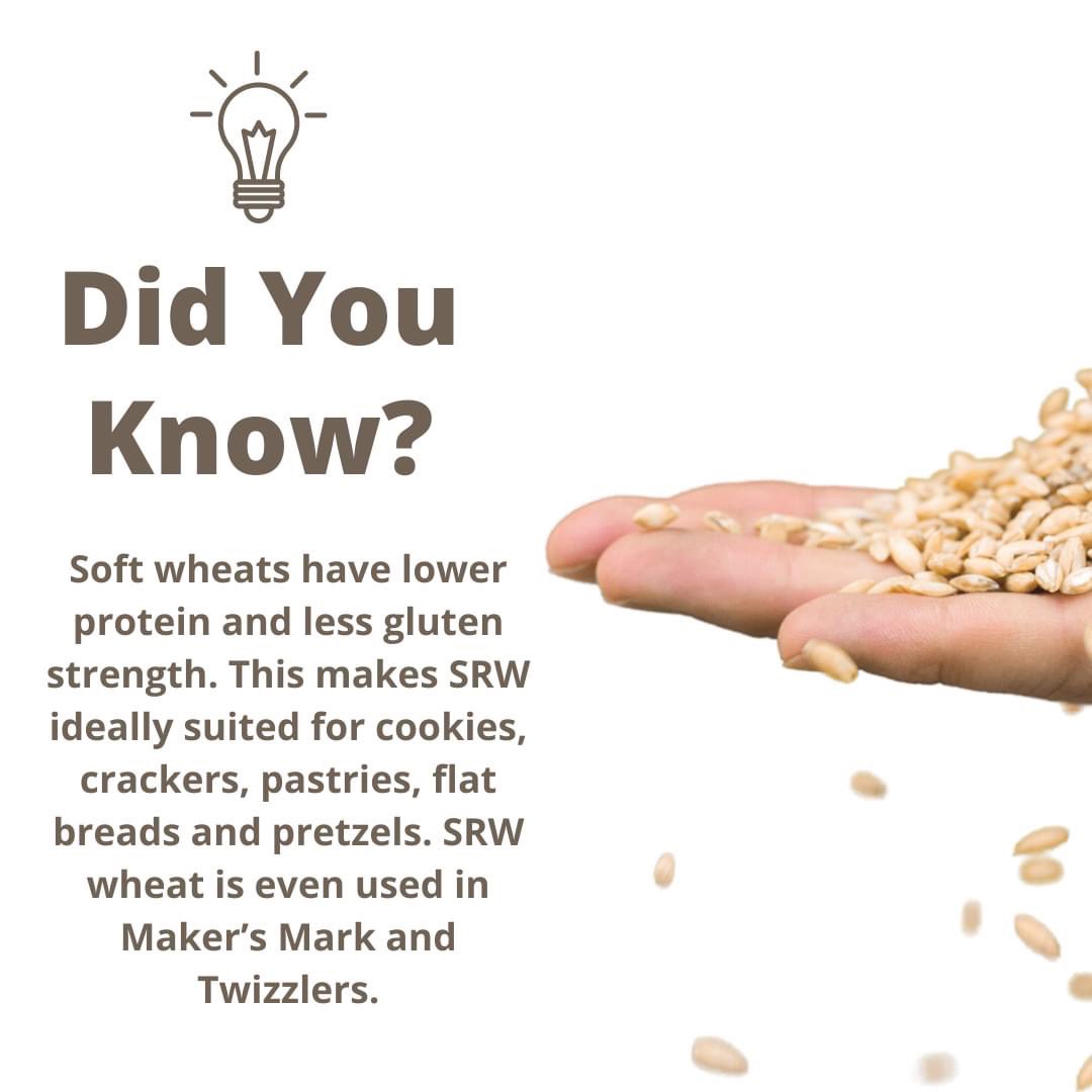 NorthernStarIS's tweet photo. #wheatwednesday #DidYouKnow https://t.co/QU8oaa8vE3