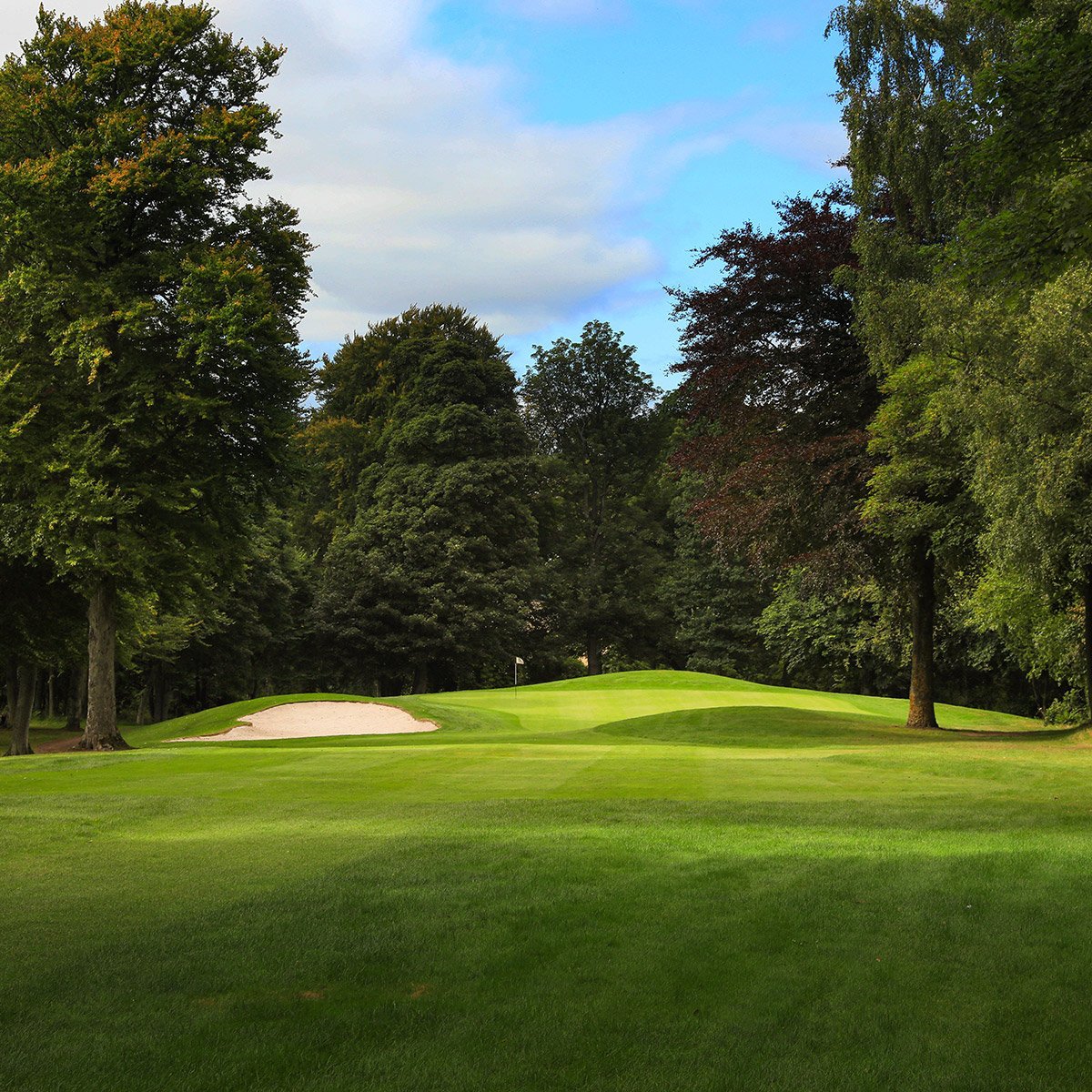 Murrayshall's tweet photo. Entries can now be made for the following Murrayshall Open events.
• Seniors Open 4/7/22
• Ladies Open 9/7/22
• Gents Open 24/7/22
Open to members & non-members.
To enter click the link below. 👇
https://t.co/XOTBi2Vwgt
#golfperthshire #opengolfevents #scotlandgolf https://t.co/6a4WxxGt4A