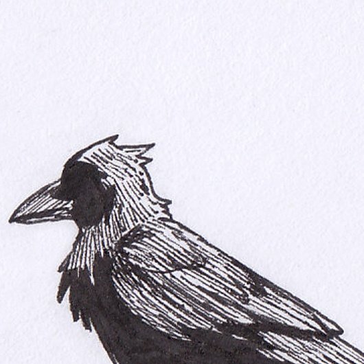 New music coming Feb 25