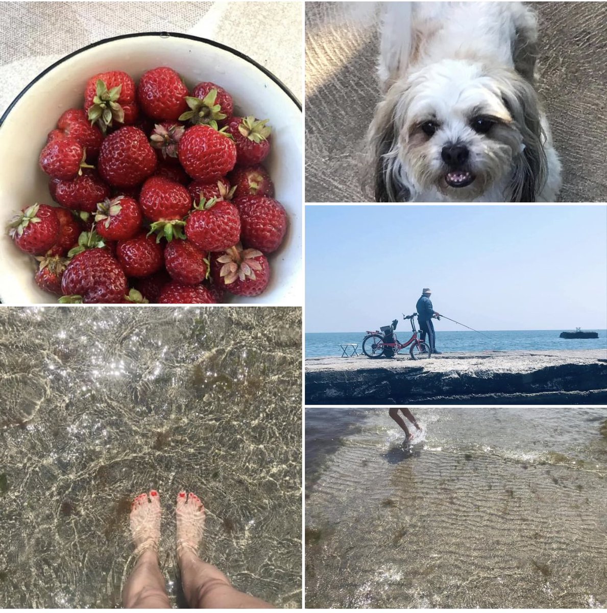 Ben, Rusça konuşan aslen Odessalı olan 🇺🇦 vatandaşıyım. Bizi korumaya da, bizden korunmaya da hiç gerek yok. Bizi ve Karadeniz’imizi rahat bırakın yeter. Biz de keyfimize bakalım. Yazın sizleri de bu tarafa bekliyoruz ;) 
#StandWithUkraine 
#SupportUkraine
#ProudofUkrainianPeople