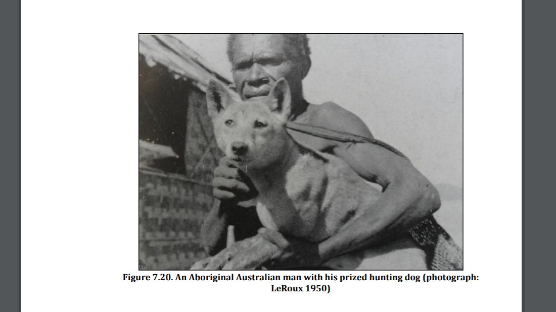 Trey_Explainer's tweet photo. found a cool paper discussing the bond between humans and dogs and it has some of the most wholesome figures I have ever seen https://t.co/cTOEqivTpB
