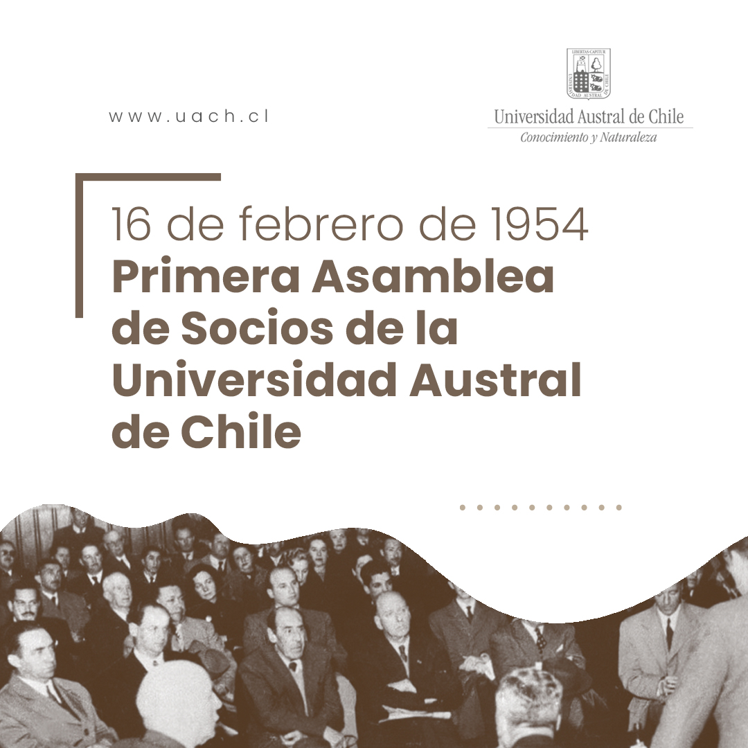 UAustraldeChile's tweet photo. El 16 de febrero de 1954 se anunció la creación de una Universidad en #Valdiviacl para el sur austral y el país. La asamblea reunida en el Club de La Unión constituyó el primer Directorio y eligió a don Eduardo Morales Miranda para dirigir la naciente casa de estudios. https://t.co/dH0qBJDN9T