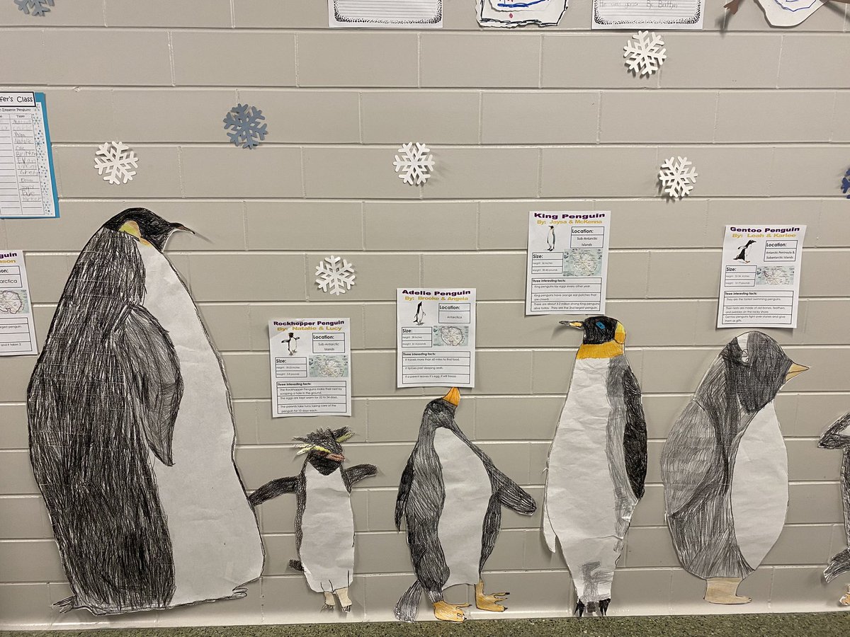 doerhoefer_j's tweet photo. Favorite unit of the year…PENGUINS! ❤️#goodhuepublicschool https://t.co/mUpi6faDNX
