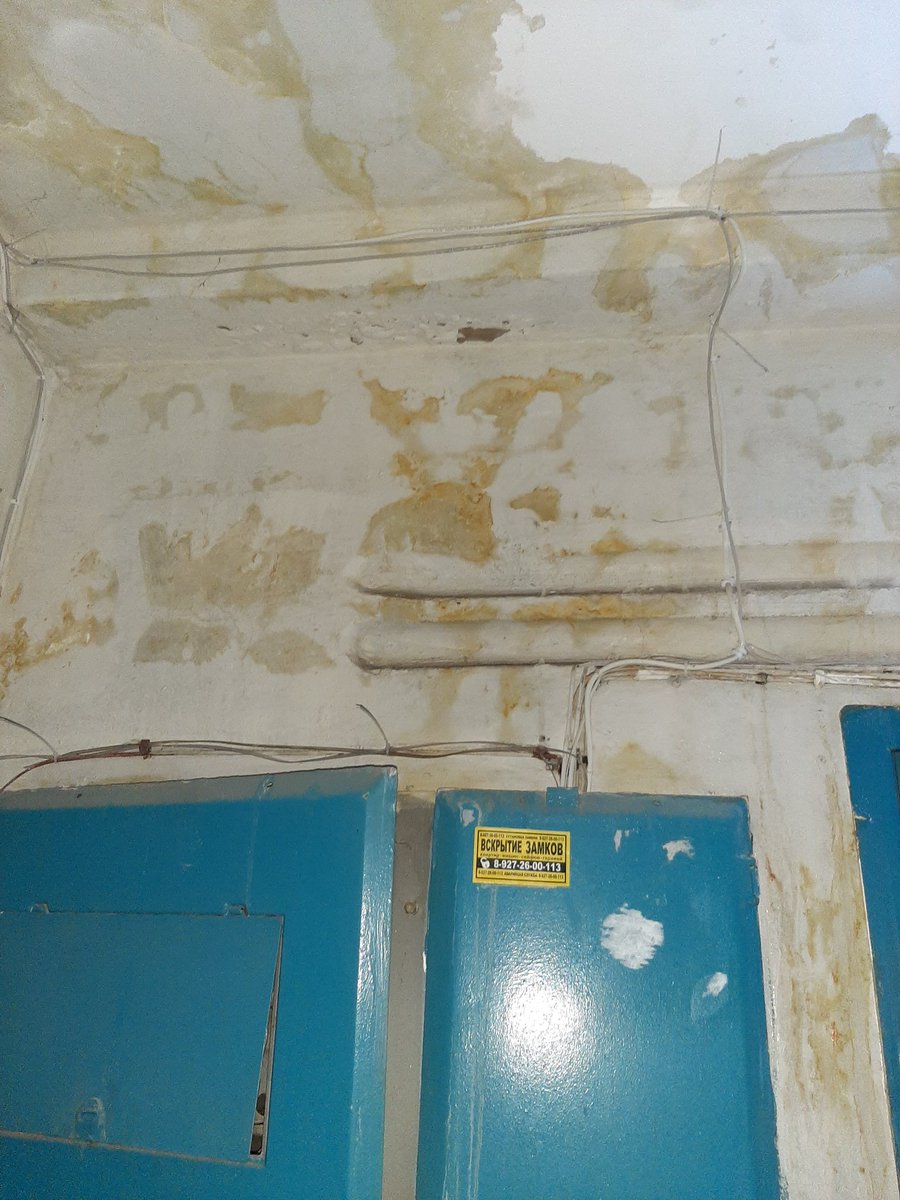 Галина Прахеева tweet media