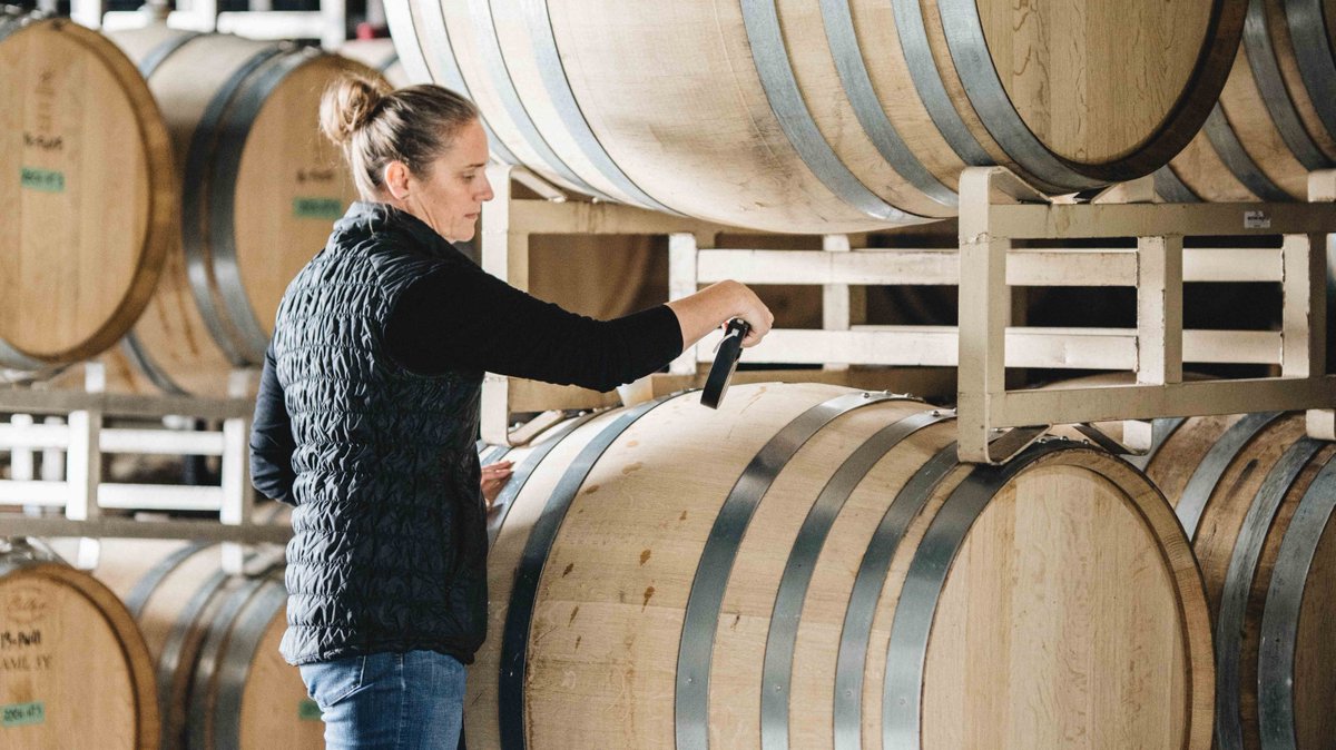 While the vineyard rests, the work in the cellar continues. 

#vineyard #cellarwork #winecellar #cellar #winemaking