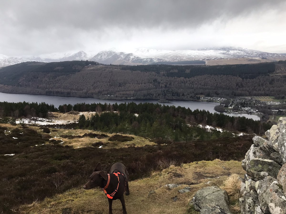 Frens, I’m back in Scotland with big hooman. I feel I belong in Kenmore 😍<a href="/VisitScotland/">VisitScotland</a> <a href="/HiPerthshire/">Highland Perthshire</a> <a href="/LovePerthshire/">Love Perthshire</a> #Scotland