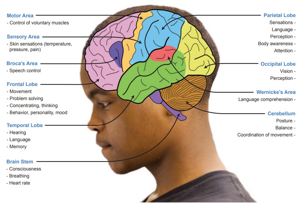 AP Psychology Review (@psych_review) on Twitter photo 