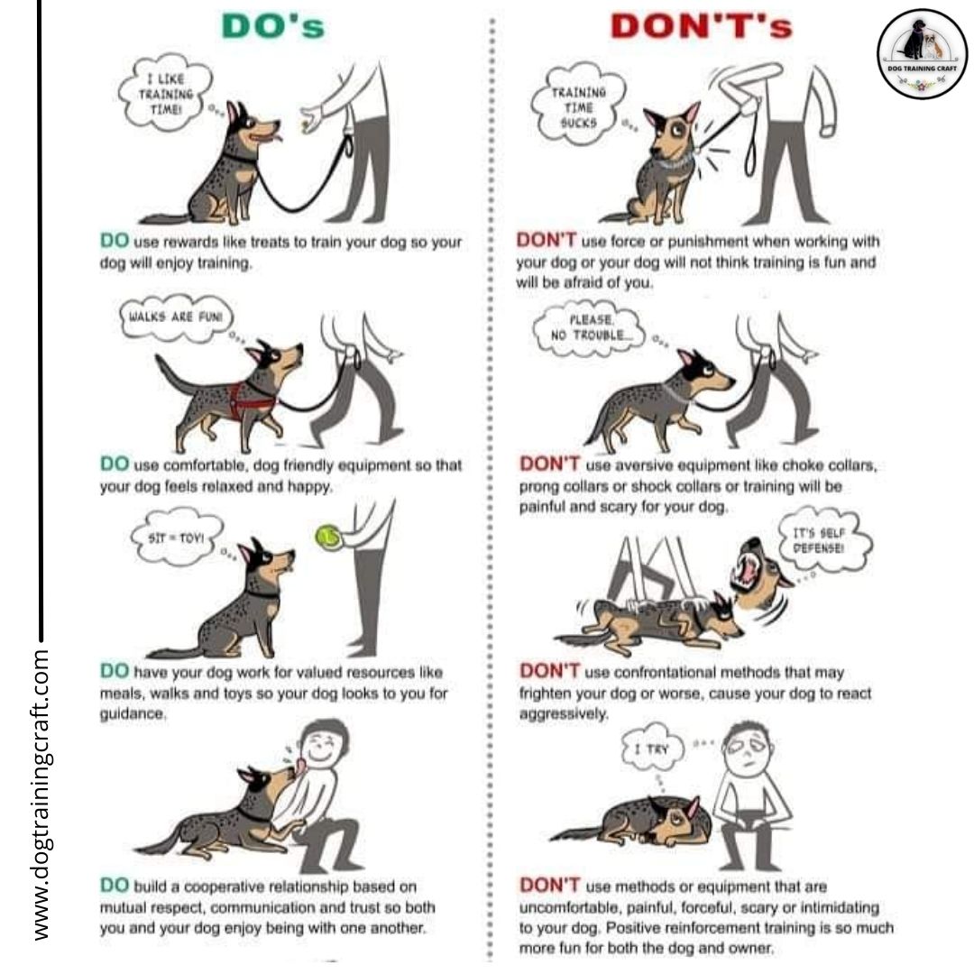 Do’s and Dont’s of a Dog training. 
To know more visit – dogtrainingcraft.com 
#dogs #dogtraining #training #advanceddogtraining #trainingtips #USA #dogwalking #obedience #pets #petlove #doglove #love #care #naturalworld #animalsandwildlife