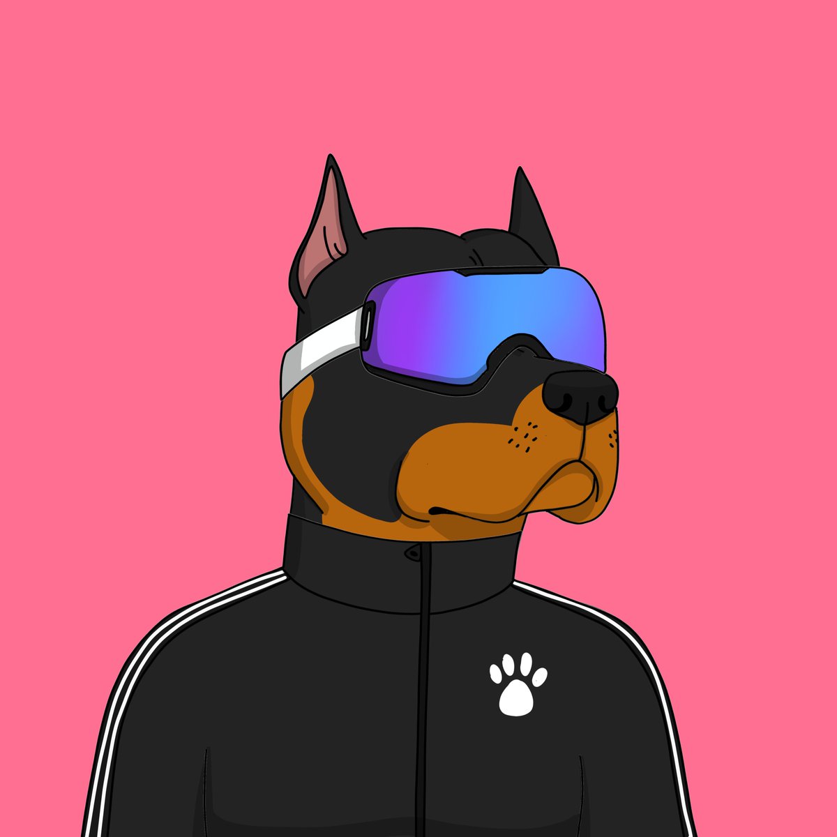 reubs_btc's tweet photo. Went one step further and went full GANG GANG.. next stop pink background rat 🐀 @GutterCatGang https://t.co/Df4CtFdLGH