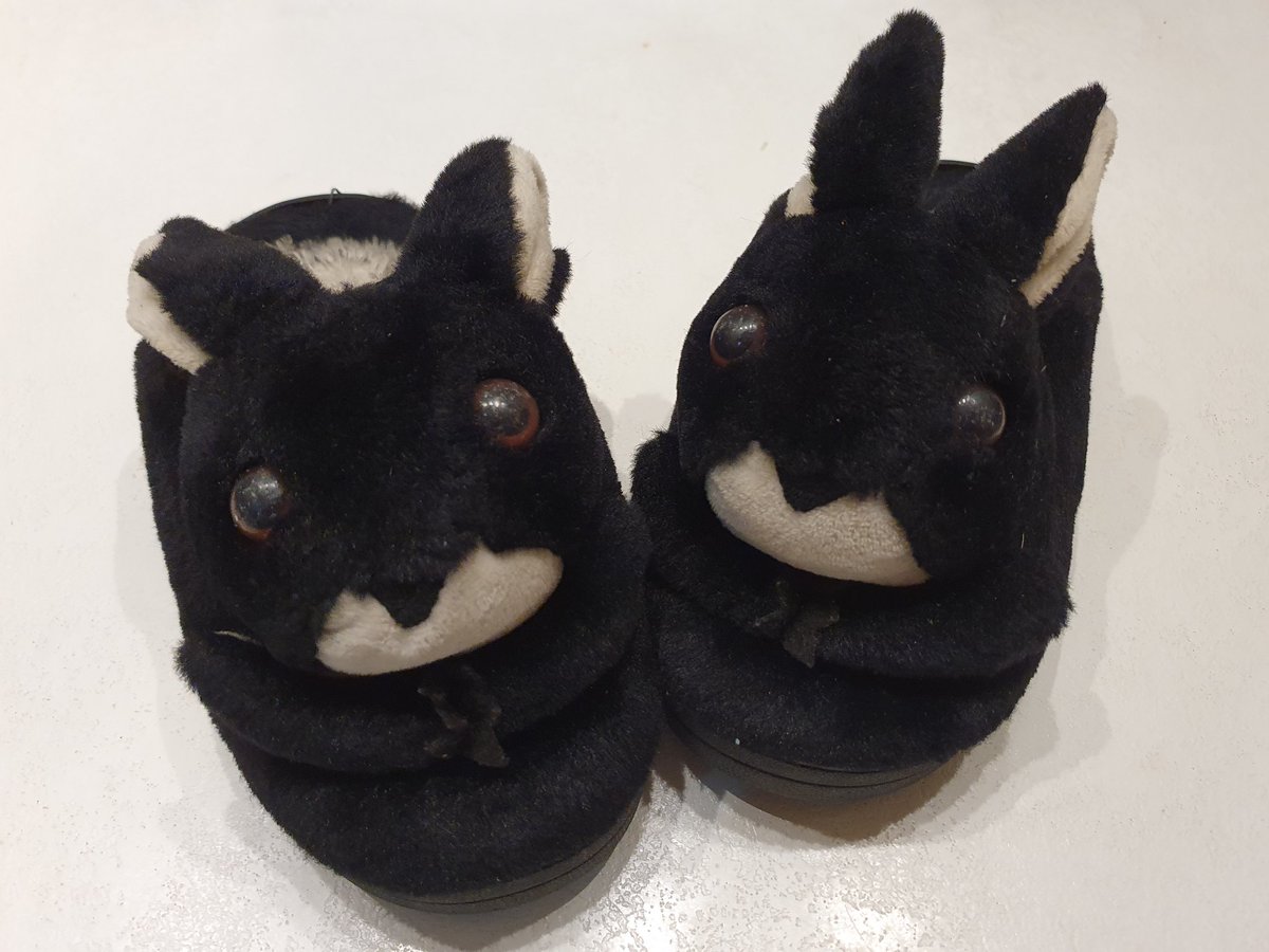 ratel 🇵🇱🇪🇺🇮🇱 Szanujmy się,kurwa! tweet media