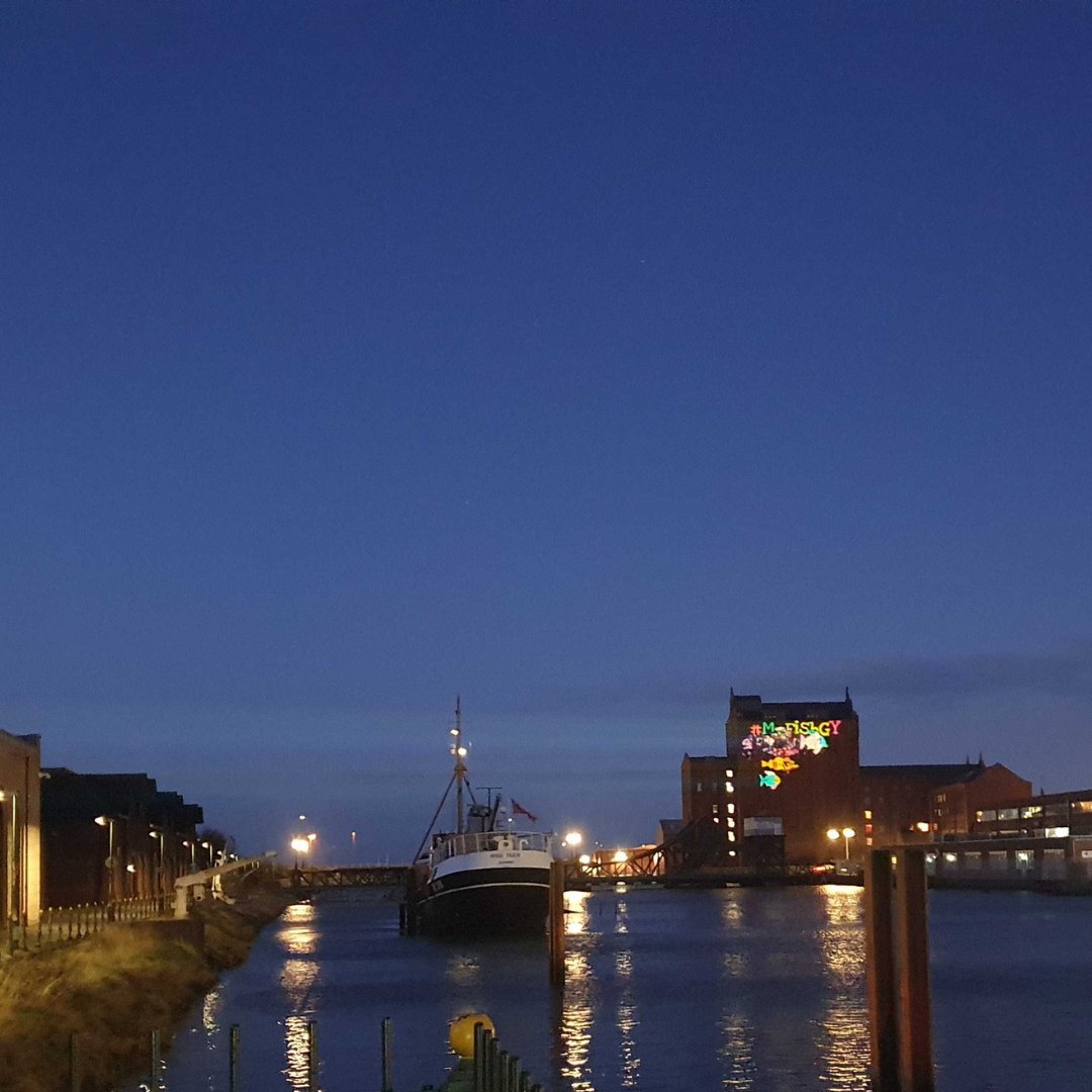 #MyFishGY tweet media