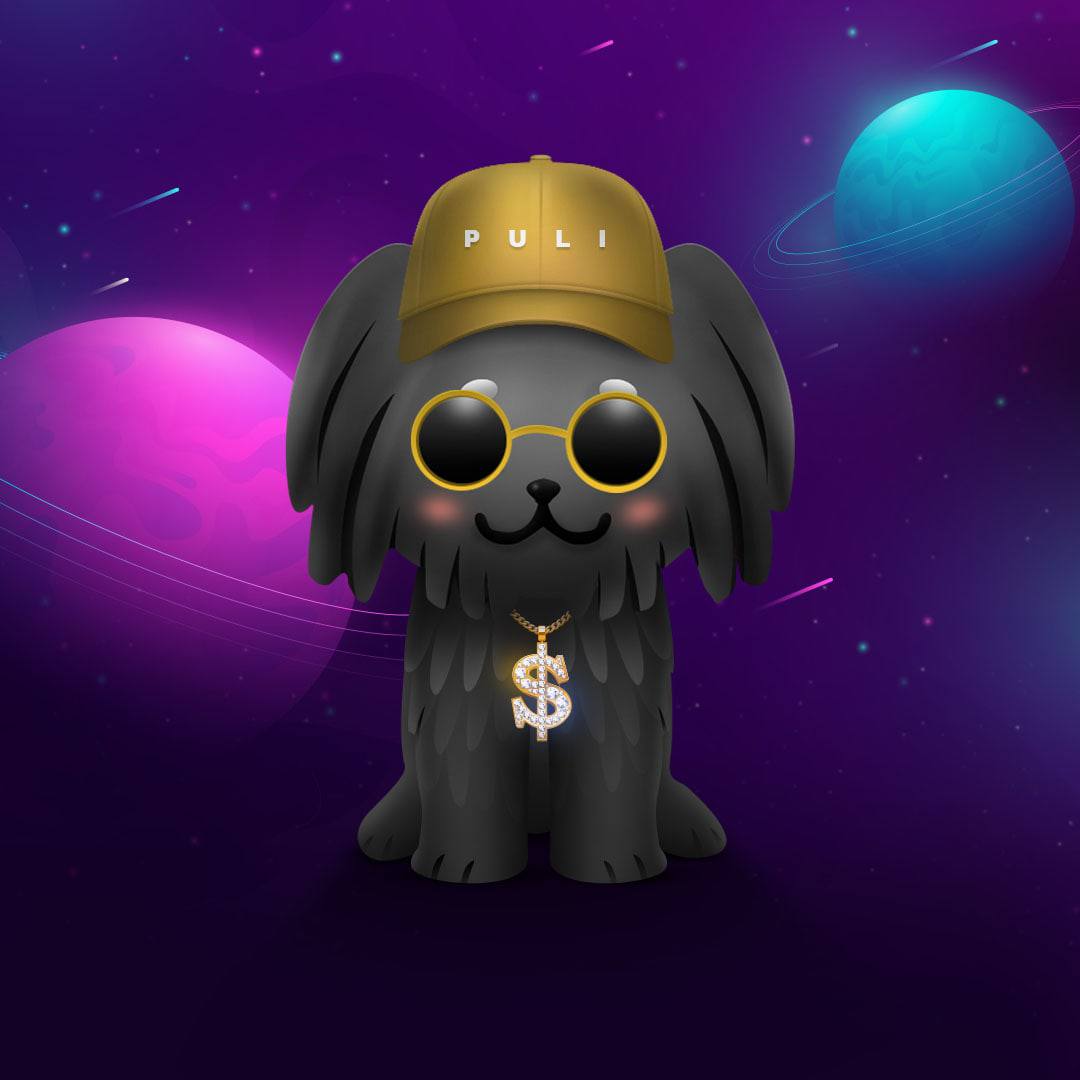 nikkkotineee's tweet image. Hey, @joerogan , take a look at our cute #NFTs 👀 #PULI will smash BSC space soon 🚀