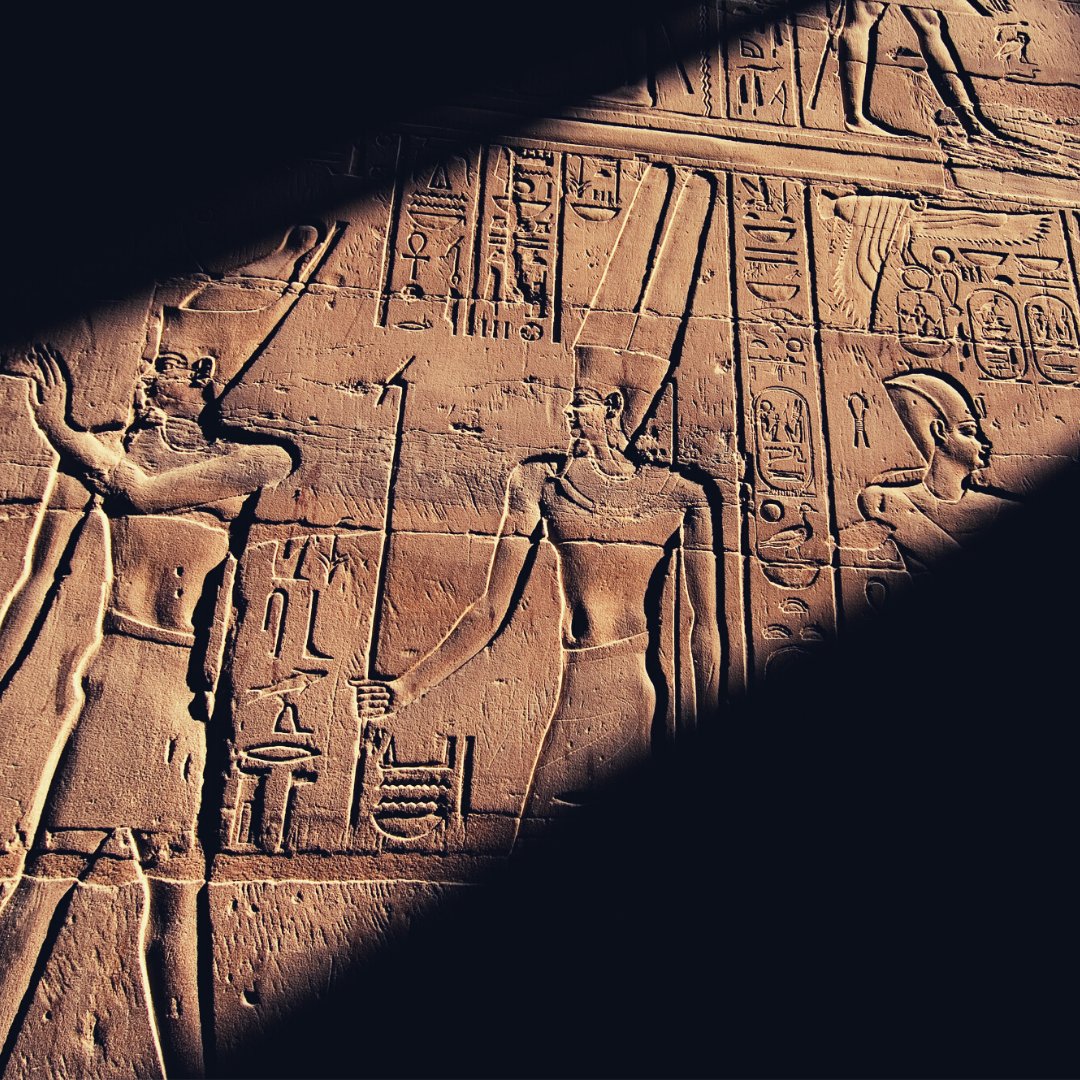 Southend Adult Community College tweet media