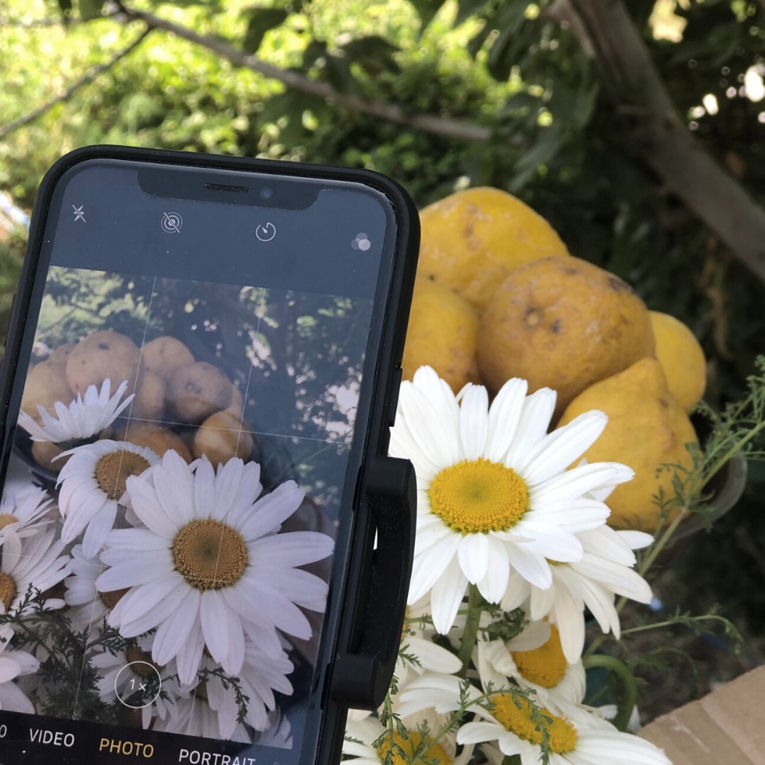 Southend Adult Community College tweet media