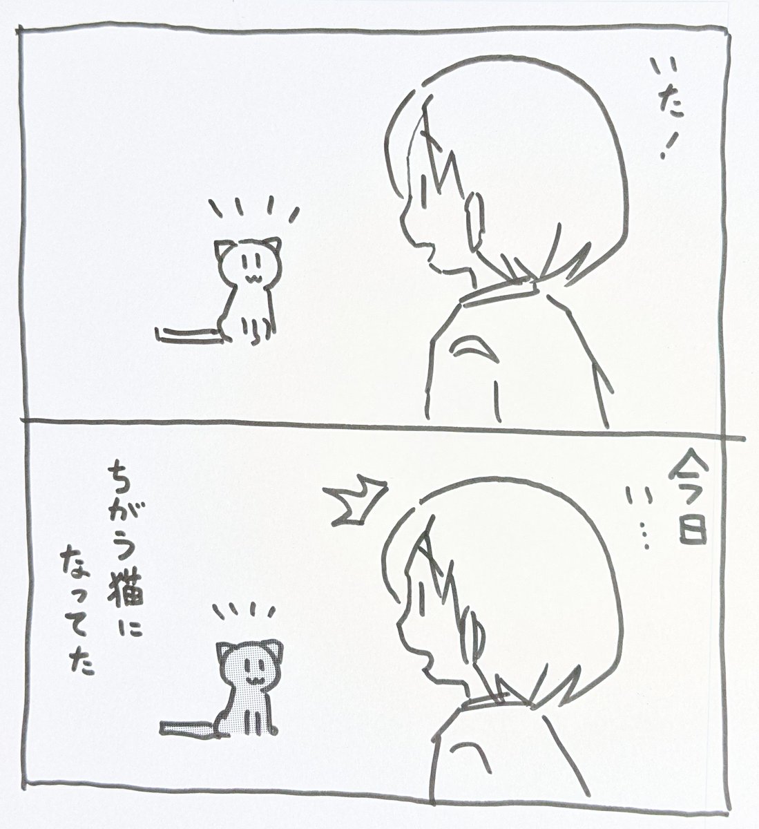 昨日の私と猫と、
本日の私と猫。 