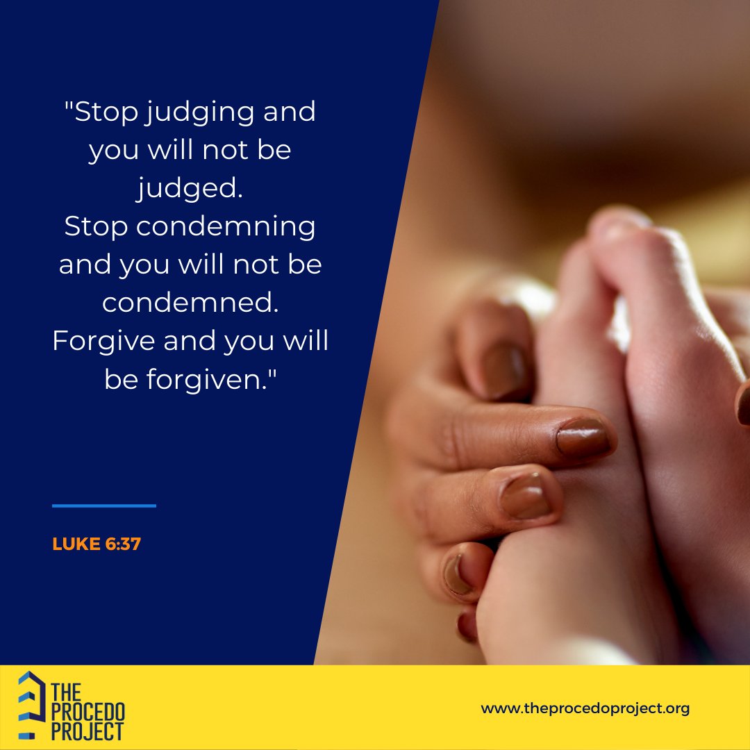 The Procedo Project tweet media