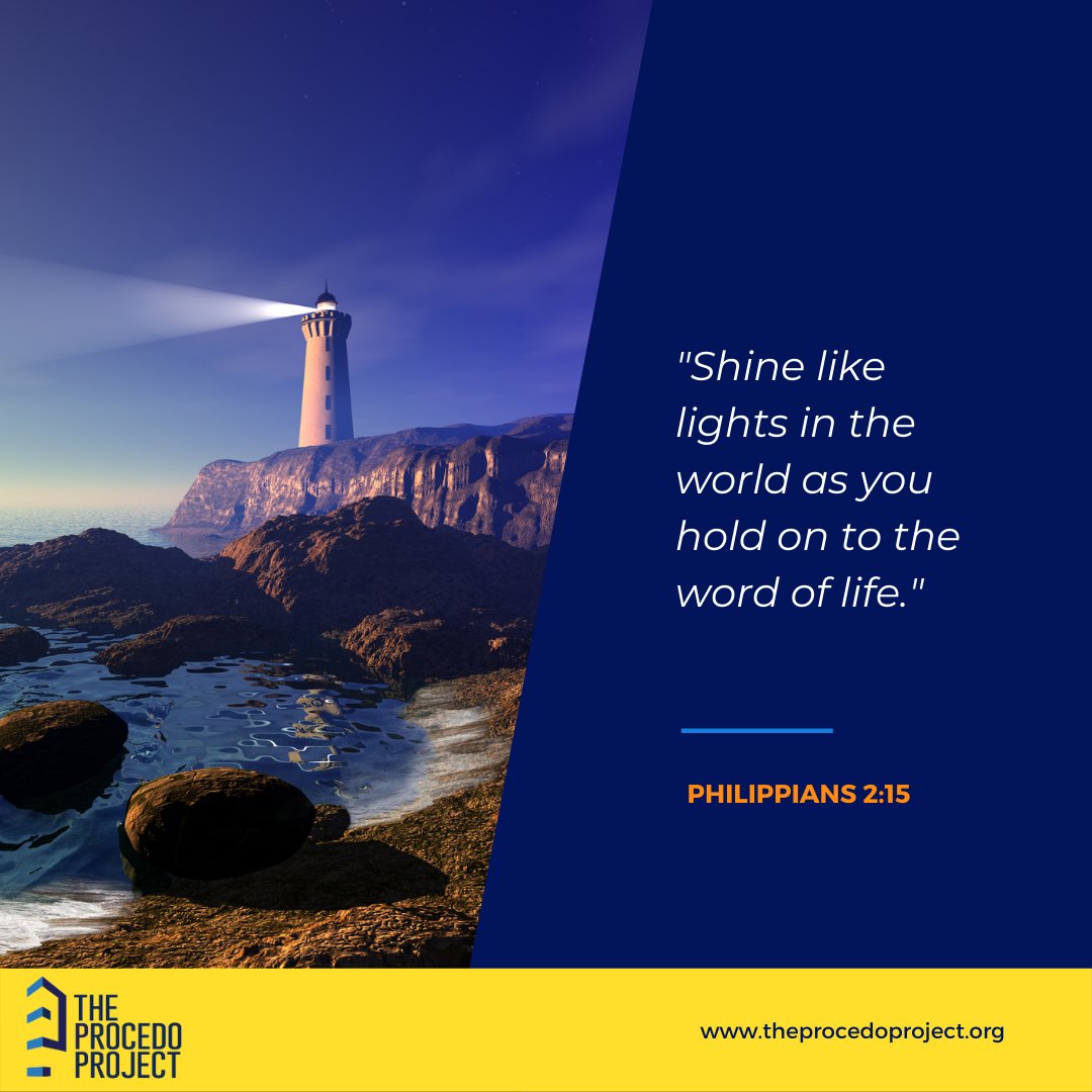 The Procedo Project tweet media