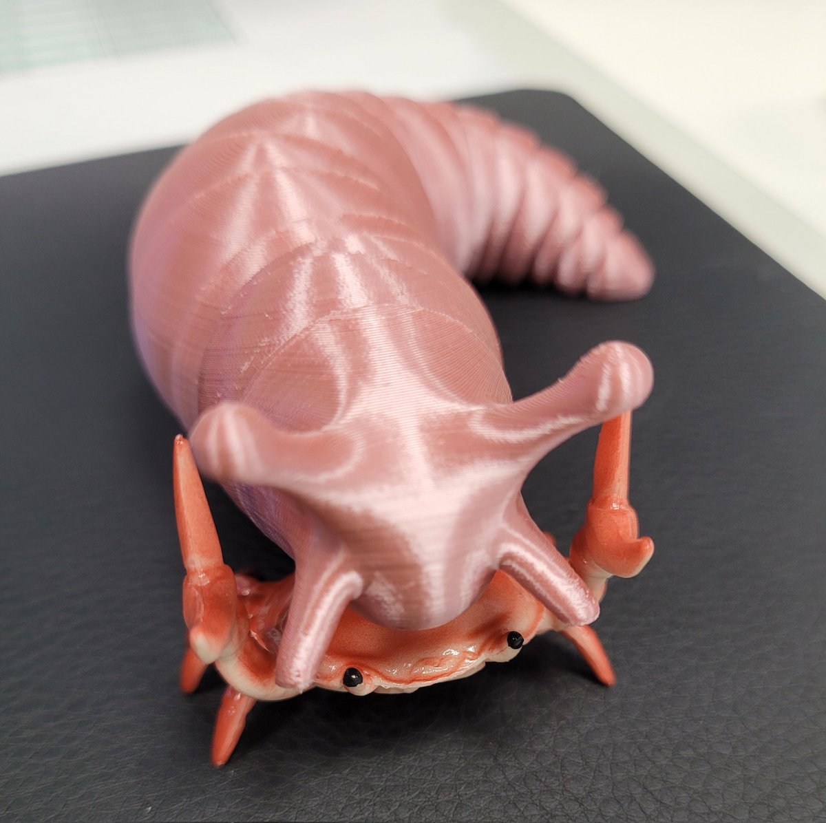 UhTerrible's tweet photo. Sometimes you ride the slug ... and sometimes the slug rides you. 

#crabaday #crablife https://t.co/9Hw7R9Uls5