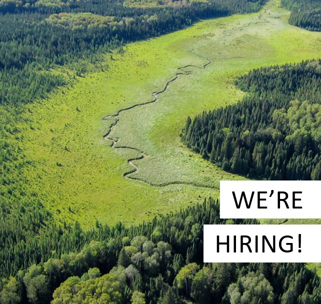 National Boreal Program tweet media