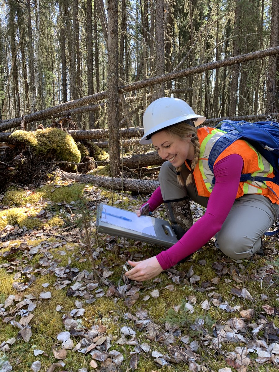 ColetteShellian's tweet photo. I'm a second year MSc student with Dr. Greg McDermid and Dr. Julia Linke, studying tree growth on #seismic lines with #UAVs. I'm looking forward to collaborating with incoming students and helping out with field work for the (fast approaching!) 2022 season #BERAProject2022 https://t.co/76lmCPP3OY