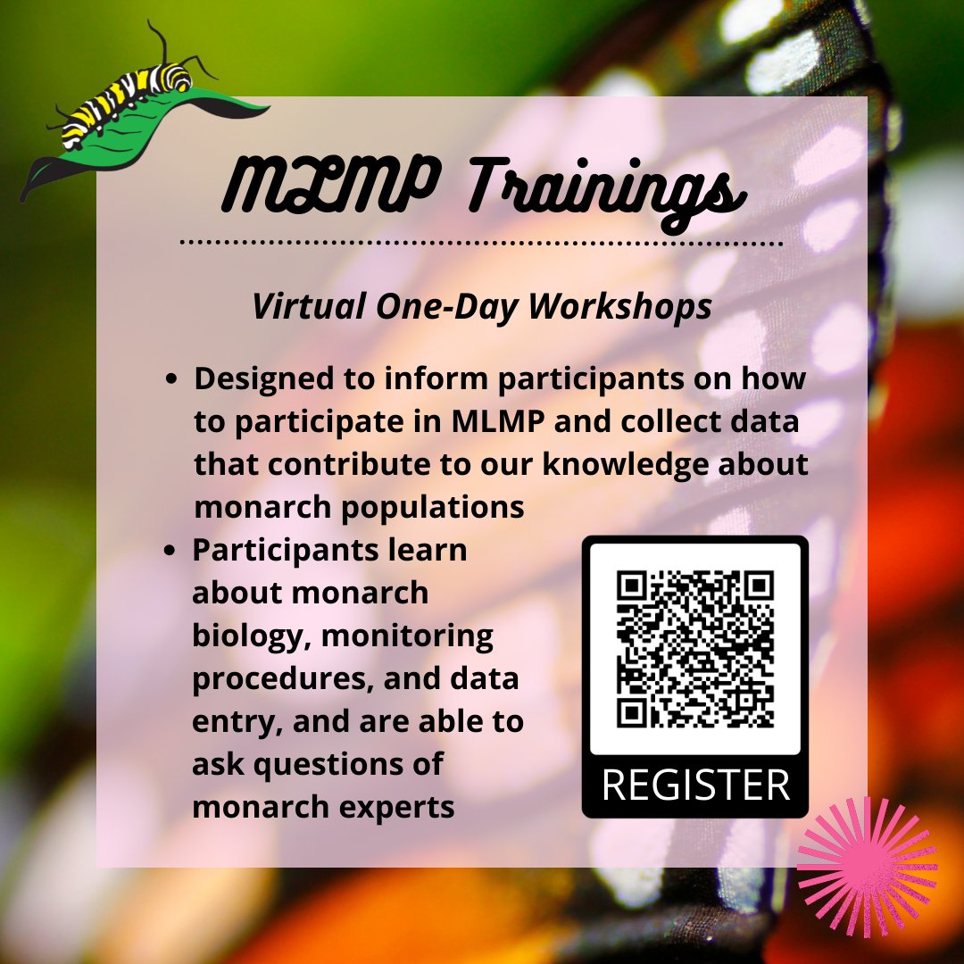 Monarch Larva Monitoring Project tweet media