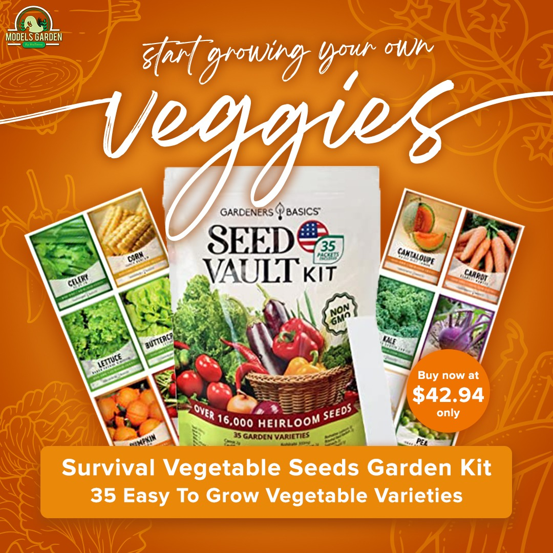 ModelsGarden's tweet image. Start your own garden of veggies with our Survival Vegetable Seeds Garden Kit! 

☑ Contains 35 easy to grow vegetable varieties
☑ Non GMO
☑ Packed in seed packets 
☑ Includes growing and harvesting instructions on every packet
☑ Perfect for indoor gardens and hydroponic
