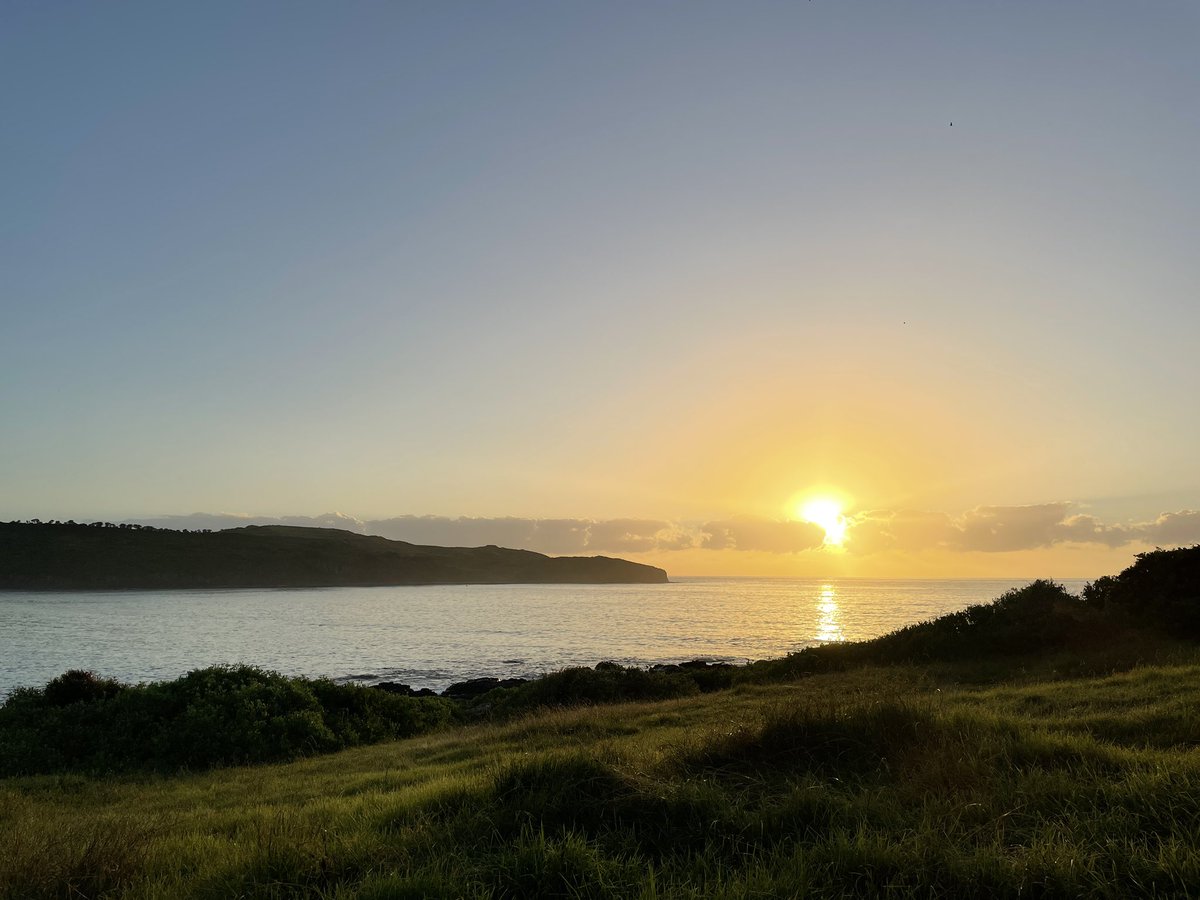 Glennfen87's tweet photo. Farm mornings …. #killalea #surfingreserve #shellharbour https://t.co/PXwRZasp3C
