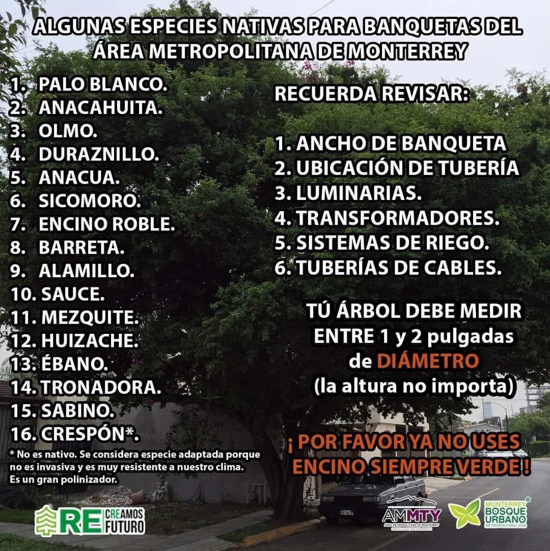 lexf17's tweet photo. @antoniocortesw @Mty_Leones Te comparto 👍 https://t.co/HzFMuO9s0v