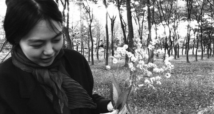 hong sang soo mubi