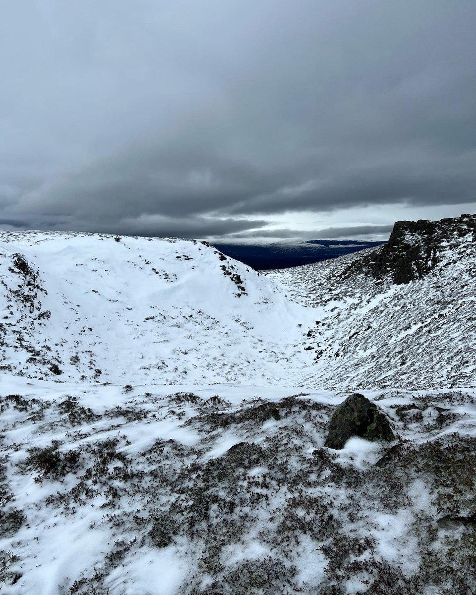 LittleBigAdventures tweet media