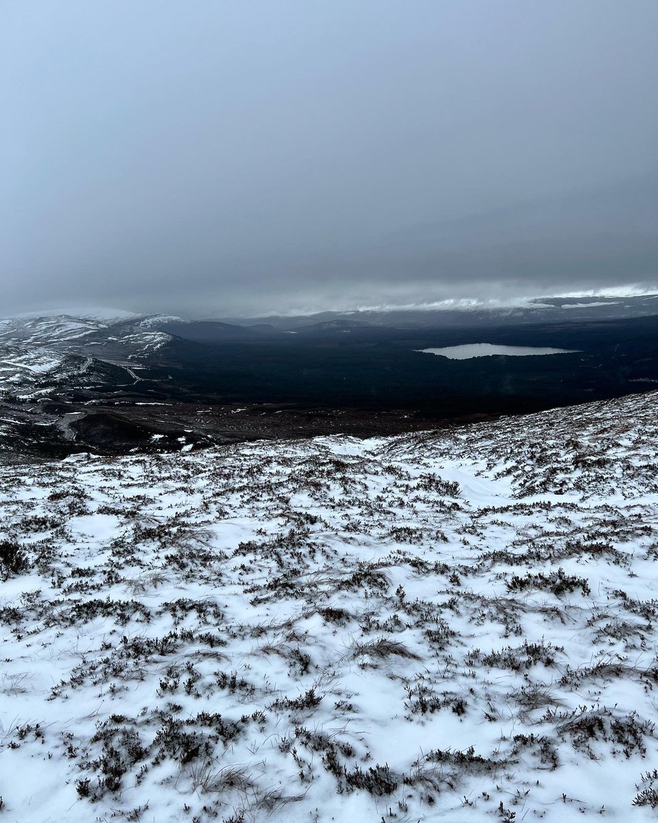 LittleBigAdventures tweet media